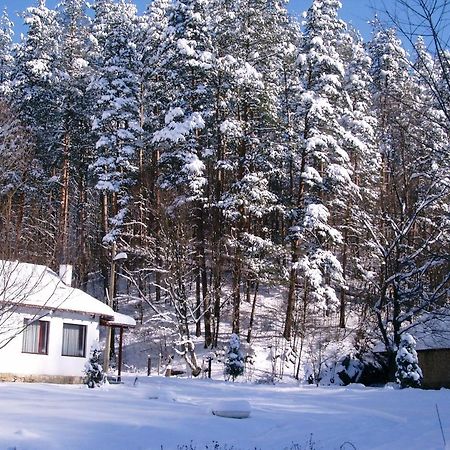 Holiday Home Tanevi Tryavna Exterior photo