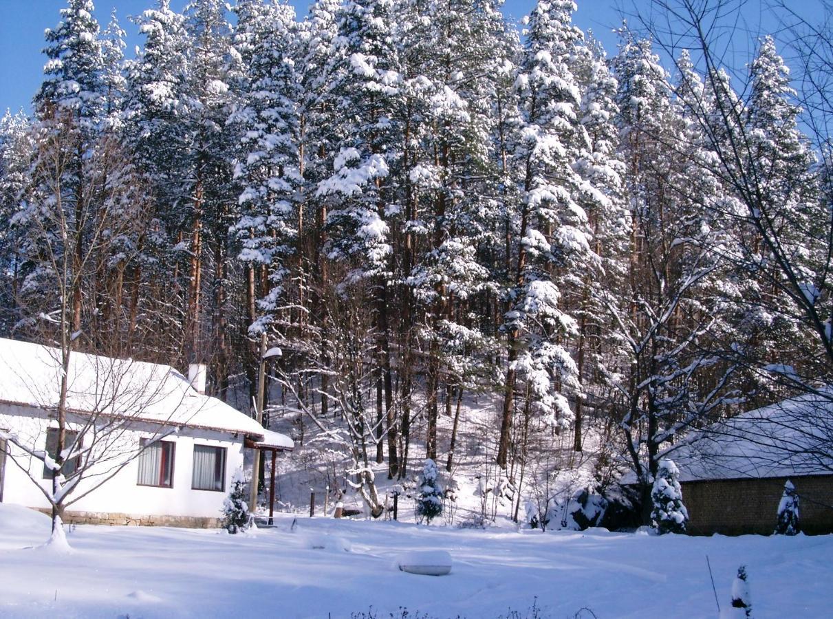 Holiday Home Tanevi Tryavna Exterior photo